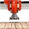 Bridge Polishing Machine